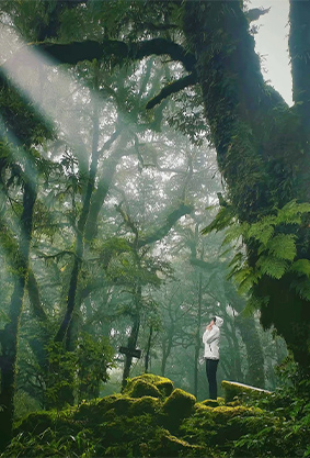 云南虫谷-昆明-哀牢山秘境-无量山樱花谷-翁丁原始村落-沧源千年崖画-博航老寨-龙摩爷-边境孟连-老达保-景迈山樱花-版纳8日深度游