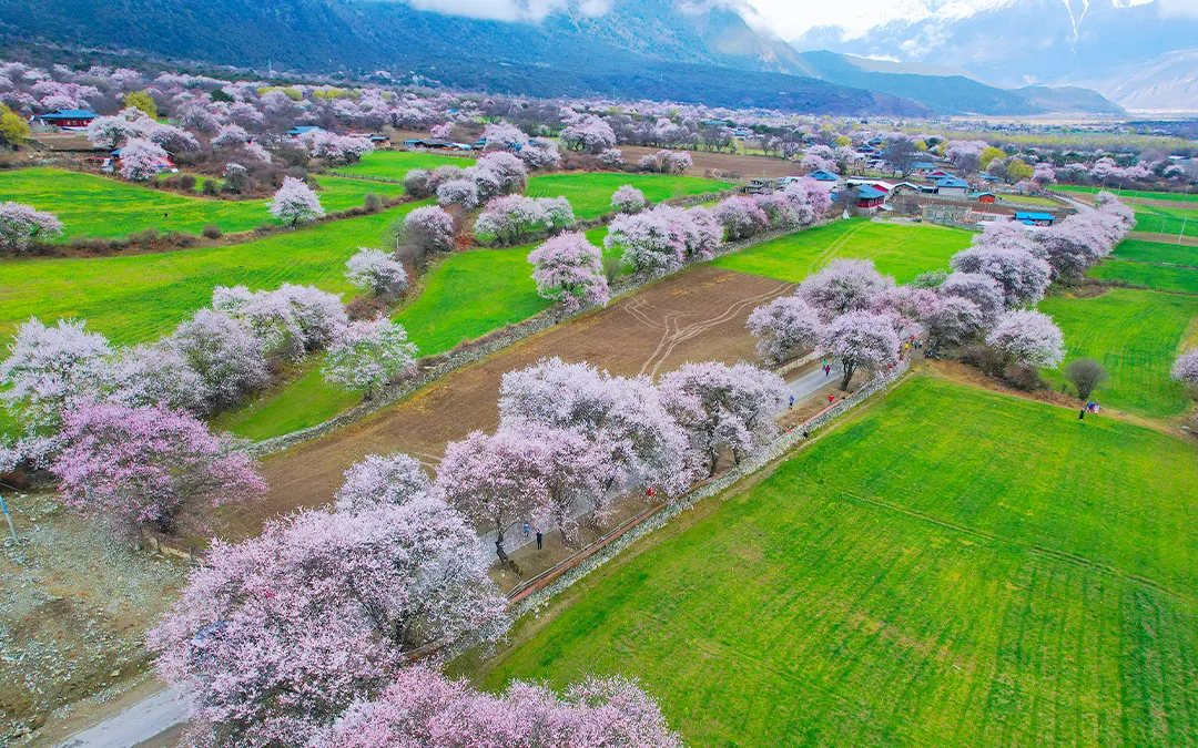 大美墨脱10日-墨脱+林芝桃花+波密桃花+索松村+然乌湖+来古冰川+帕邦喀+雅鲁藏布江大峡谷10日游