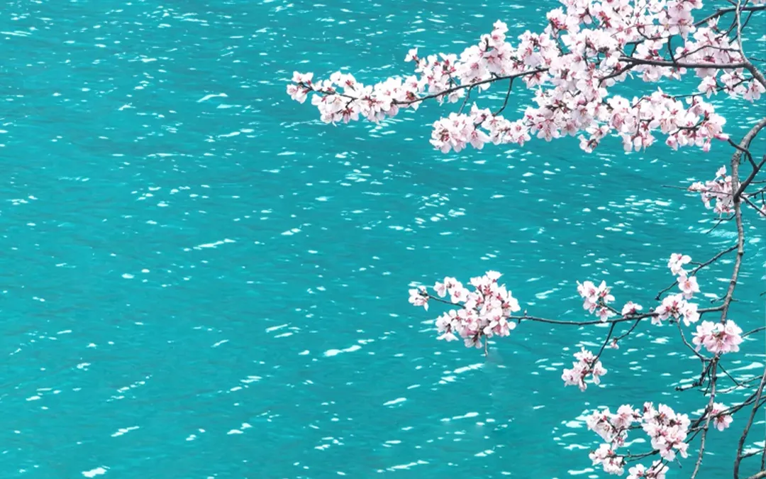 大美梨花-九寨沟+金川梨花+四姑娘山双桥沟+中路藏寨+松潘古城6日·半自由行