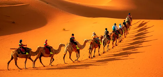 趣游宁夏-西夏陵-沙坡头-通湖草原-贺兰山岩画-水洞沟遗址  5日游