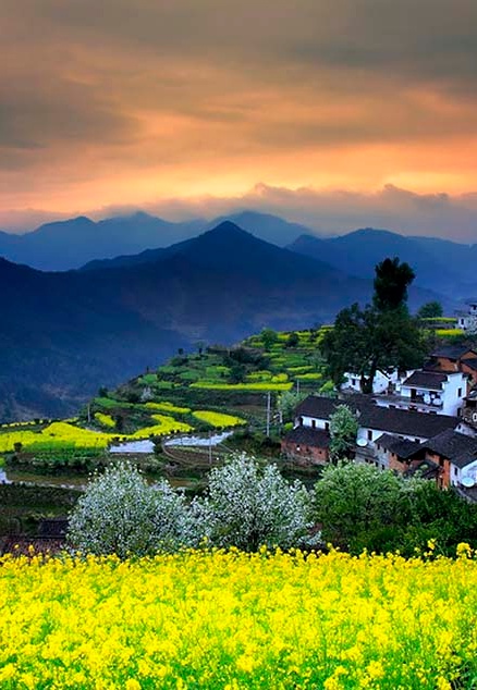 徽州春色-黄山-婺源篁岭-新安江-石潭-呈坎 5日游