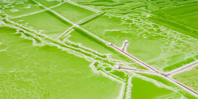 去野西北-青海湖-黑独山-大柴旦翡翠湖-莫高窟-鸣沙山月牙泉-七彩丹霞-祁连大草原-嘉峪关 7日游